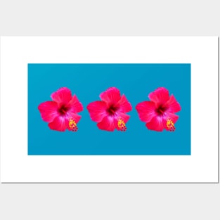 Three Red Hibiscus Floral Beach Vibe Posters and Art